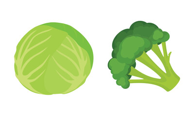 Fresh vegetables broccoli and cabbage