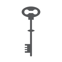 Key icon symbol flat and line style set. Door or house key to unlock lock collection. Security system concept represented by outline and silhouette key sign group