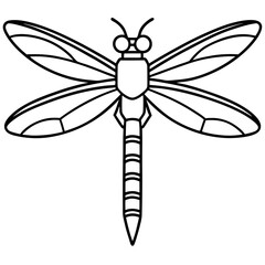 Stylized Sea Dragonfly Line Design