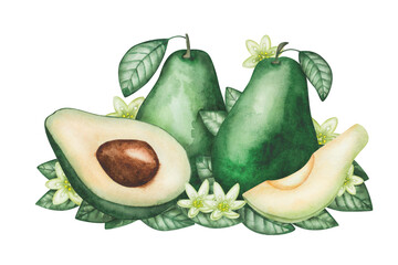Avocado composition. Watercolor illustration. Hand painted green avocado, whole, cut in half with brown seed, leaves, flowers. Raw, ripe fresh alligator pear. Isolated clip art