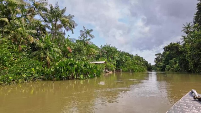 River boat tour on the Guama River at Belem do Para, a city on the north area of Brazil. Naturalistic green area by amazon forest.