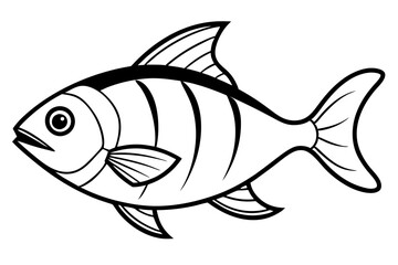 Piranha Ink Drawing Vector
