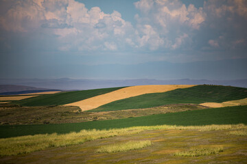 Obraz premium Wheat fields in the golden autumn in Tacheng, Xinjiang, China