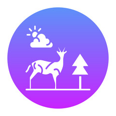 Safari Icon