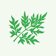 Obraz premium Wild Cosmos Plants Flat Design Cartoon Illustration