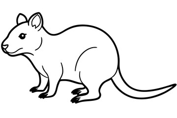 Quokka Outline Illustration
