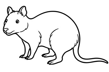 Quokka Outline Illustration