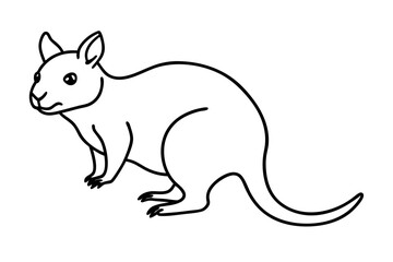 Quokka Outline Illustration