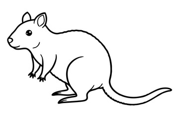 Quokka Outline Illustration