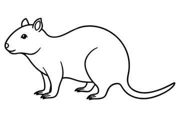 Quokka Outline Illustration