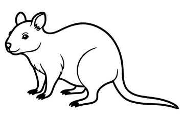 Quokka Outline Illustration