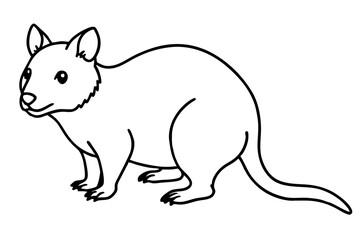 Quokka Outline Illustration