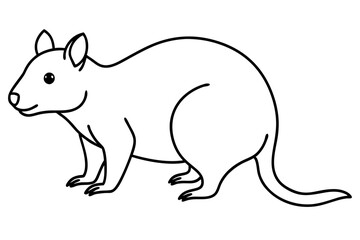 Quokka Outline Illustration