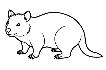 Quokka Outline Illustration