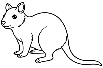 Quokka Outline Illustration