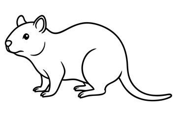 Quokka Outline Illustration
