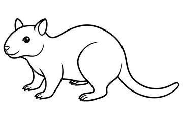 Quokka Outline Illustration