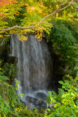 紅葉と滝