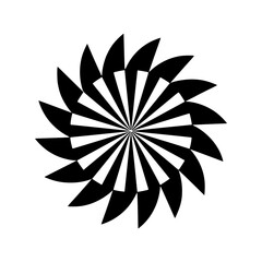 Black and White Geometric Radial Design