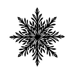 Intricate Black and White Snowflake Design, Floral Pattern