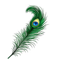 Obraz premium Peacock feather cartoon vector illustration for decoration, janmashtami,&nbsp;feather&nbsp;logo