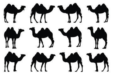 
Camel Silhouette Vector Bundle – Animal Icons Set