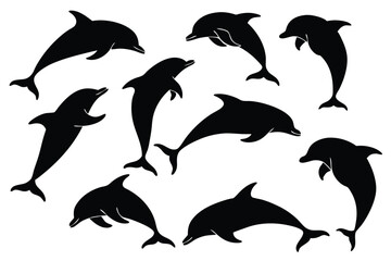 Silhouettes of Dolphins in Various Poses © royaldudegfx
