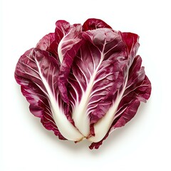 Obraz premium Fresh red radicchio heads on white background.