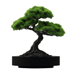 Fototapeta premium A small, isolated green bonsai tree, a natural symbol of growth and nature, stands against a white backdrop