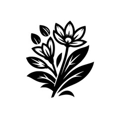 Black and White Floral Illustration, Minimalist Botanical Design