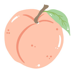 A peach hand drawn clean colorful illustration  
perfect for summer fruit designs, market, dessert gifts, greeting cards, print, textile