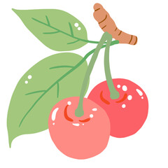 A Cherry hand drawn clean colorful illustration  
perfect for summer fruit designs, market, dessert gifts, greeting cards, print, textile