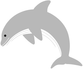 돌고래 