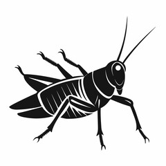 Vector art illustration of a locust