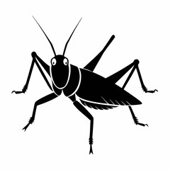 Vector art illustration of a locust