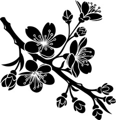 branch of cherry blossom