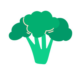 Broccoli. Isolated vegetable vector design