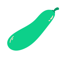 zucchini isolated on white background