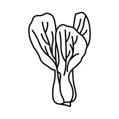 Bok Choy Icon