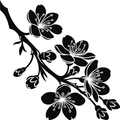 branch of cherry blossom