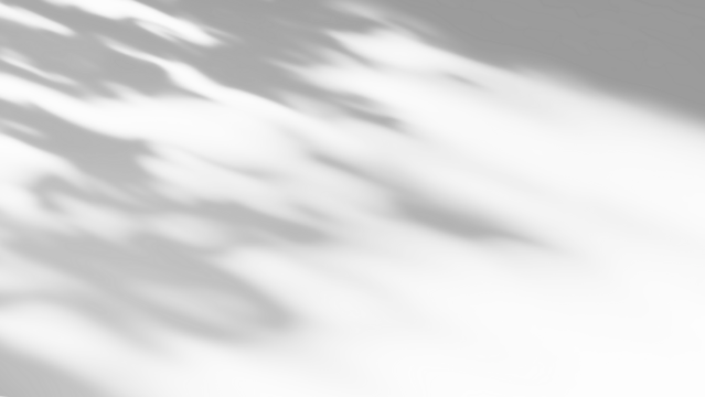 Overlay effects of realistic tree branch and leaves shadows isolated on transparent background,mockup of shadow for product presentation, backdrop,Summer sunlight and shadow overla