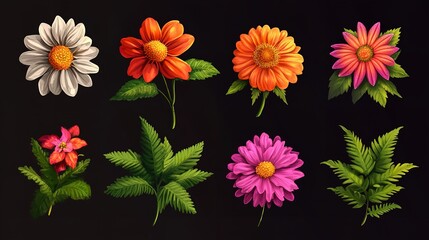 flowers on black background