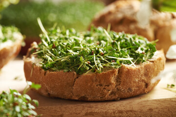 A slice of sourdough bun with fresh homegrown garden cress sprouts or microgreens