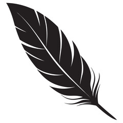 Obraz premium Bird feather isolated white background 