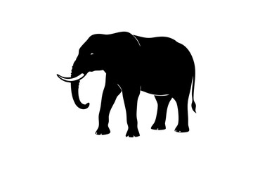 Obraz premium Graphic Silhouette Of An African Elephant With Tusks Standing Calmly Isolated On White Background Simple And Elegant Design, elephant, silhouette, vector, animal, wildlife, mammal, african, tusk