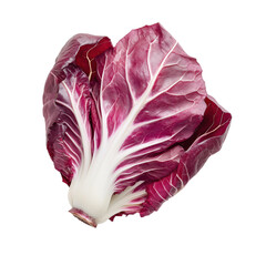 Fototapeta premium Whole fresh radicchio cabbage with deep purple leaves and white veins, isolated on transparent background for food or diet themes.
