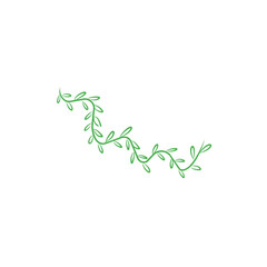 hand drawn vines