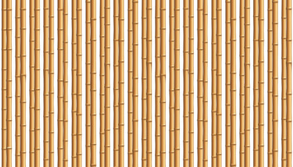 Wooden fence made from bamboo sticks. Isolated on white background. Vector illustration