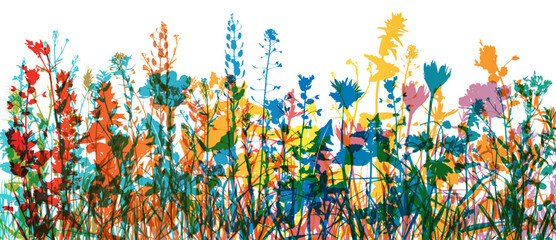 Grass with herbs and wild flowers. Colorful vector isolated silhouette of floral meadow. Horizontal border.