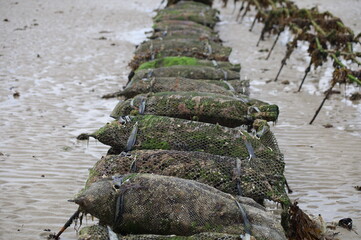 S&auml;cke mit Muscheln